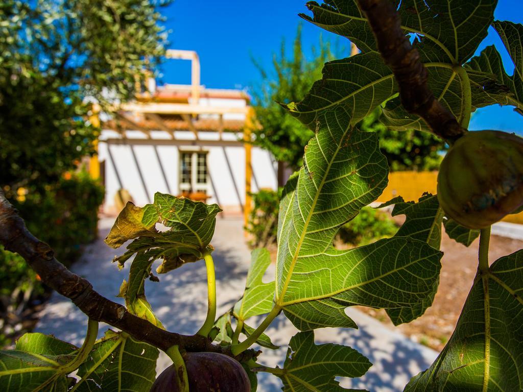 Casa Dei Carrubi Hotel Portopalo Di Capo Passero Exterior photo